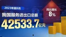 国产精品视频免费在线,免费在线畅享视听盛宴